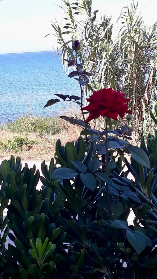 Villa Covo Dei Marinai Cava dʼAliga Exterior foto